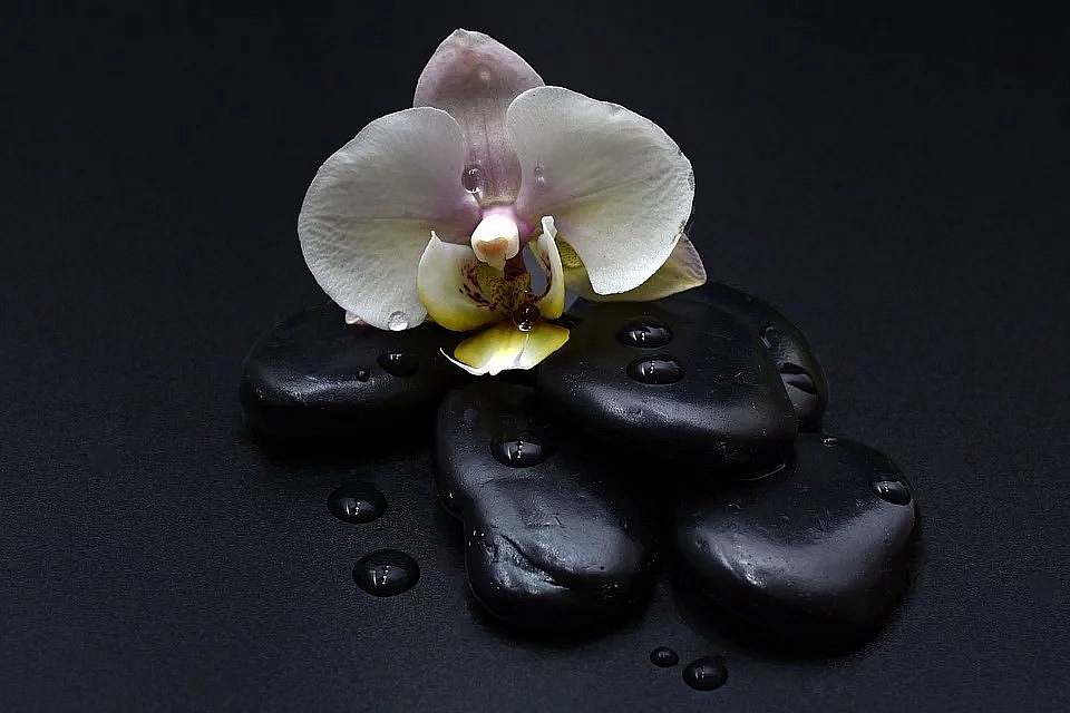 Hot Stone Massage Stockstadt